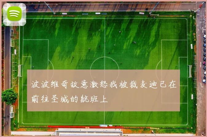 波波维奇故意激怒我被裁麦迪已在前往圣城的航班上